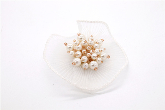 Eco - Friendly Shoe Lace Flowers Luxury Designs Decoration Accessories